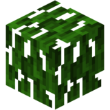 Мангровая листва.png